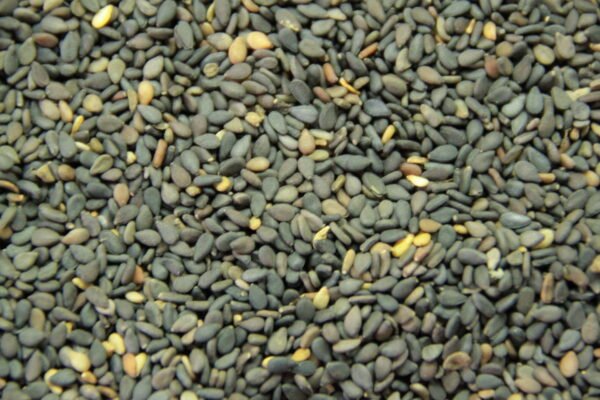 Black Sesame - Image 2