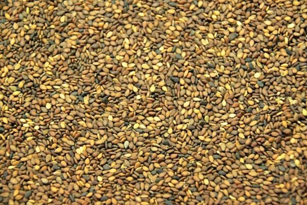 Brown Sesame - Image 2