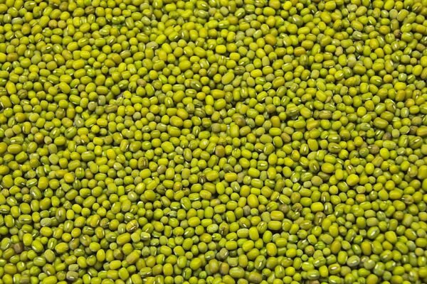 Green Mung Beans - Image 2