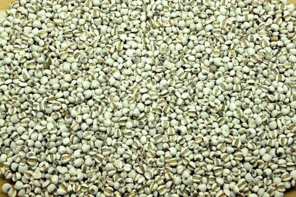 Job’s tear without shell (Coix seeds, Yokuinin, Pearl barley without shell)