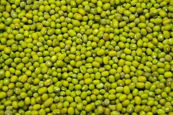 Green Mung Beans