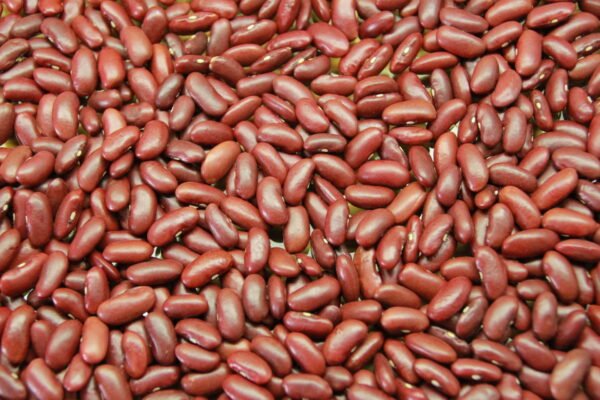 Red Kidney Beans