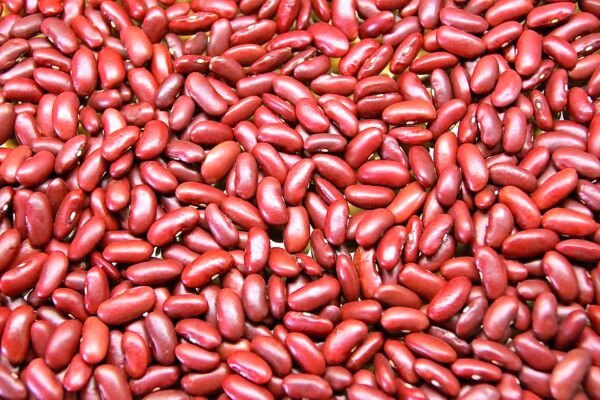 Red Kidney Beans - Image 3